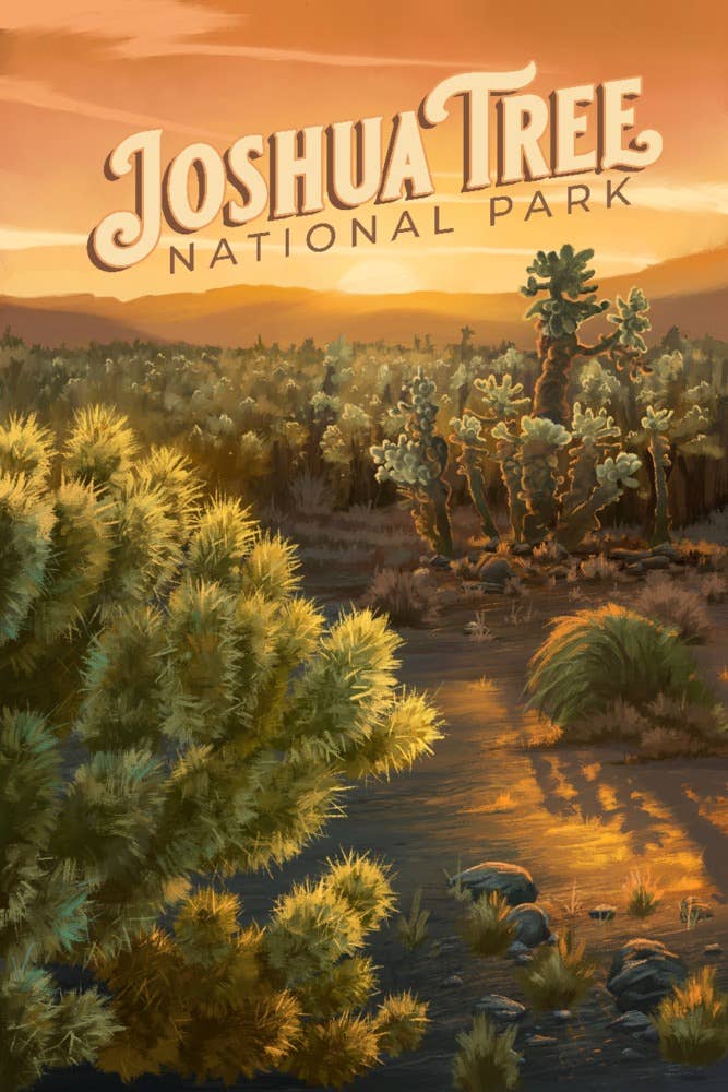 Joshua Tree National Park Cholla Matted Print
