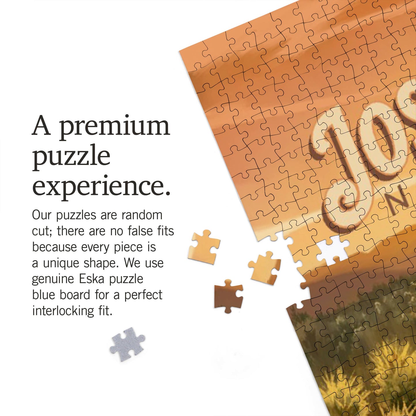 Joshua Tree National Park Cholla 1000 Piece Puzzle