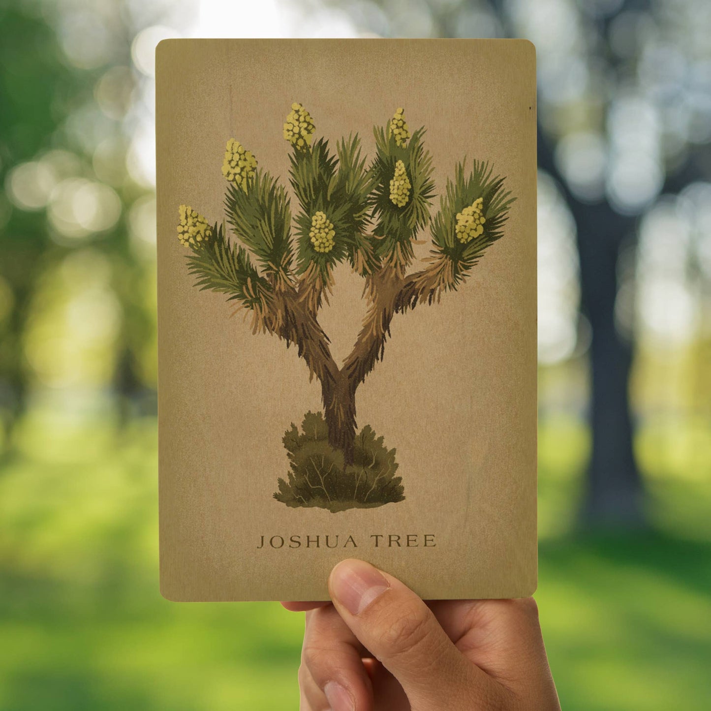 Blooming Joshua Tree Vintage Flora Wood Postcard