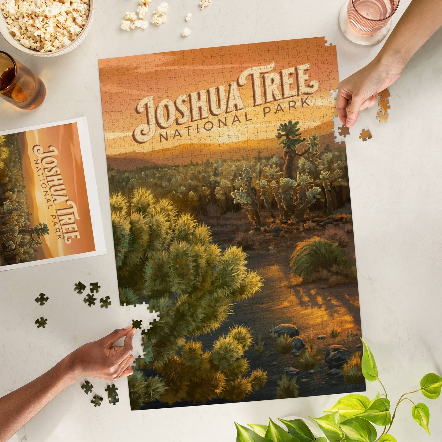 Joshua Tree National Park Cholla 1000 Piece Puzzle