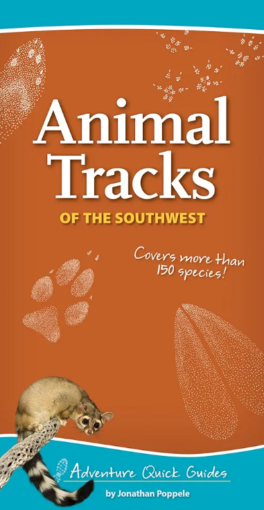 Animal Tracks of the Southwest