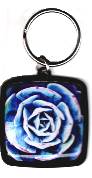 Blue Cactus Keychain