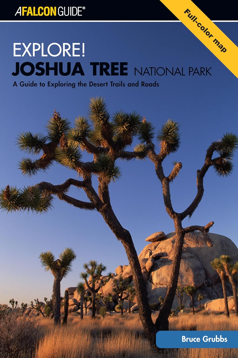 Explore Joshua Tree National Park