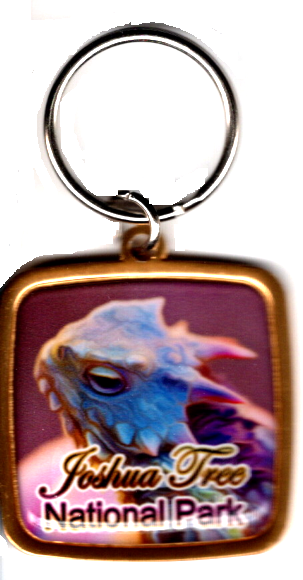 Horned Lizard Keychain