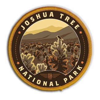 Joshua Tree National Park Cholla Circle Patch