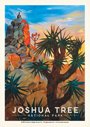 Joshua Tree National Park Sunrise Postcard
