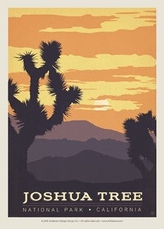 Joshua Tree National Park Sunset Postcard