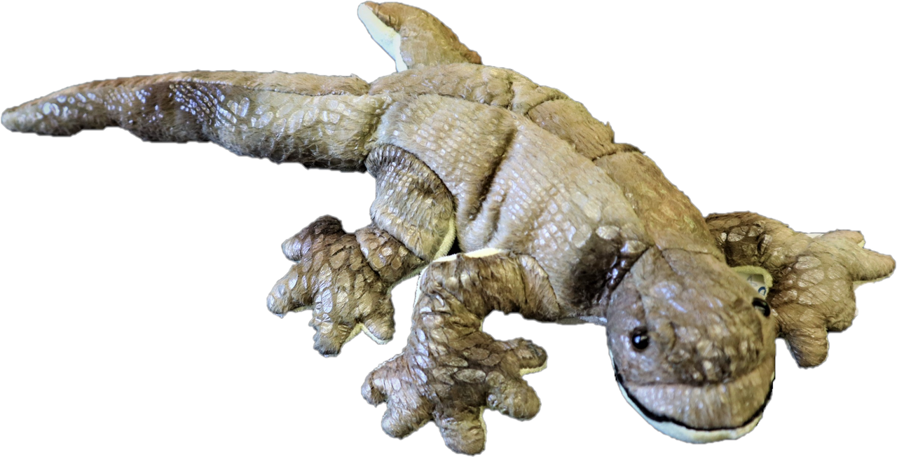 Stuffed Lizard Wishpet
Lizard Plush