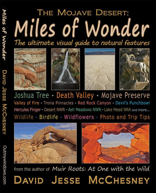 Miles of Wonder book