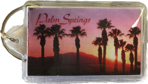 Palm Springs Keychain