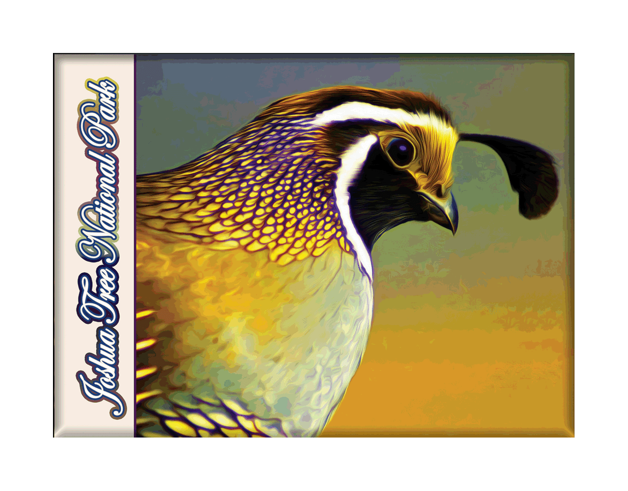 Quail Magnet