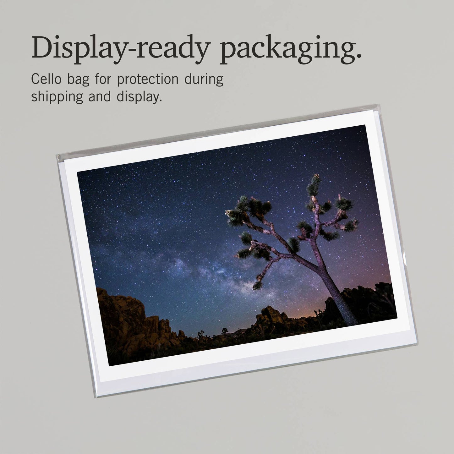 Joshua Tree Milky Way Notecard
