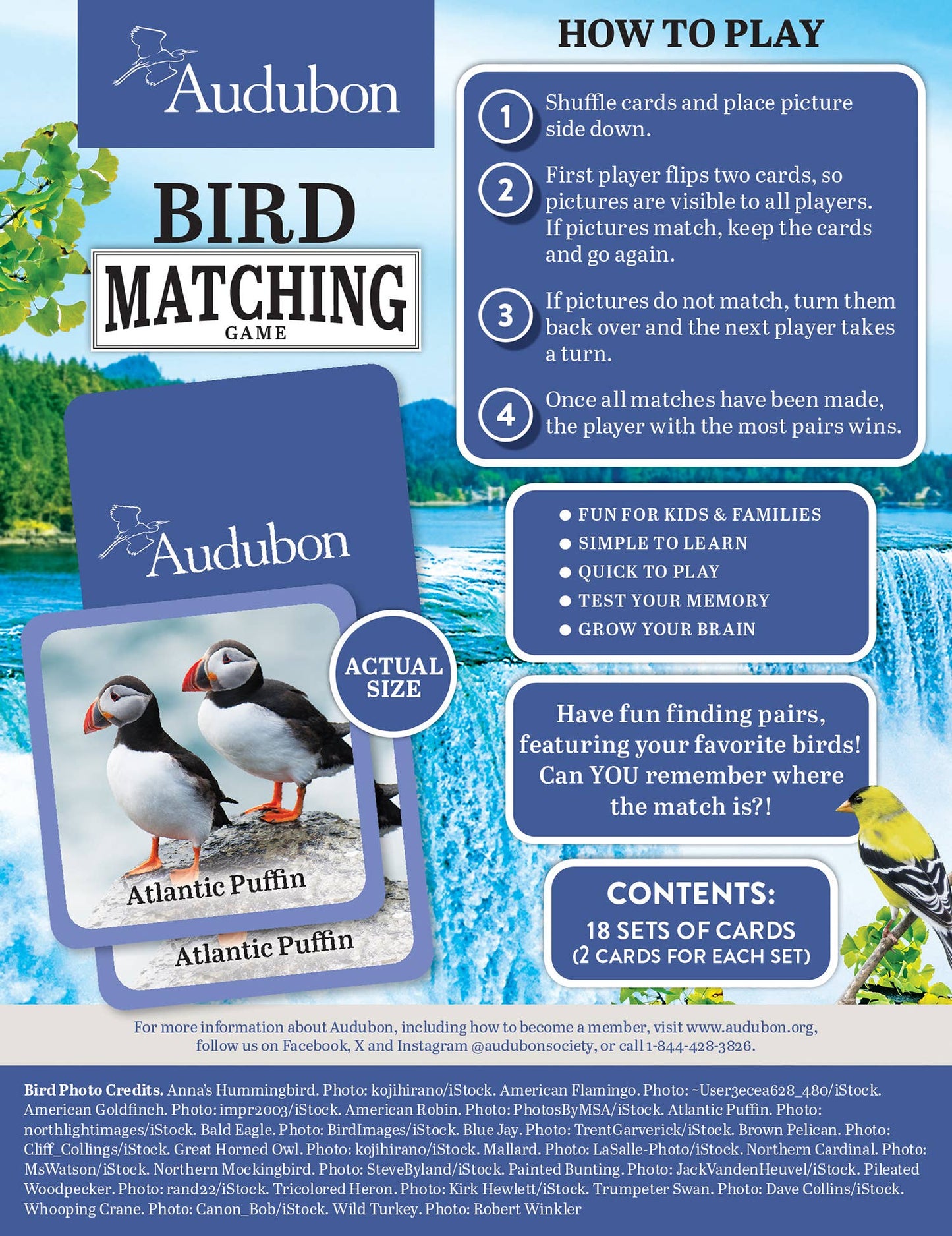 Audubon Bird Matching Game