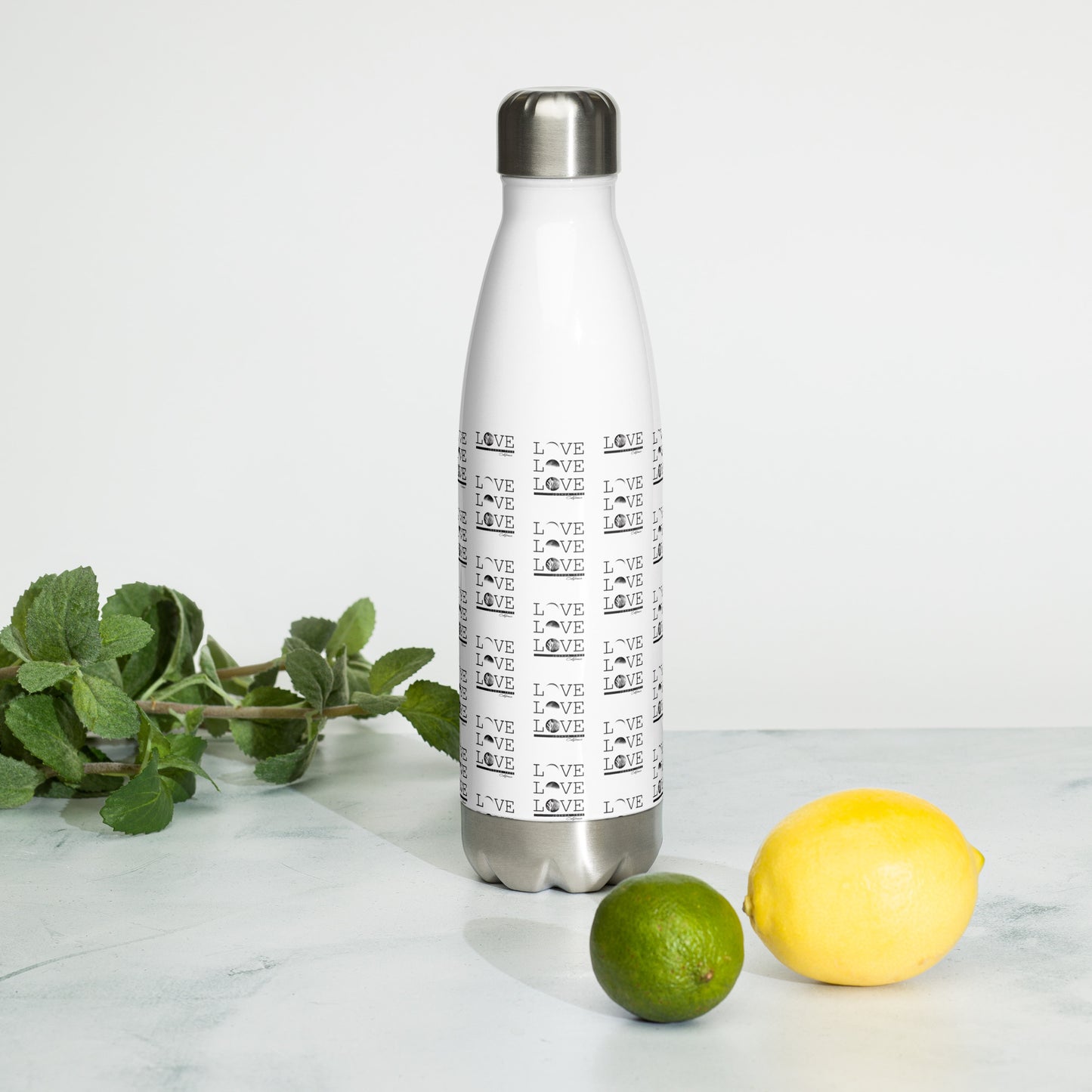 Joshua Tree LOVE Stainless Steel Water Bottle