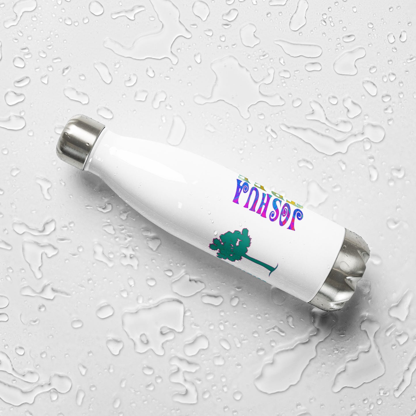 Joshua Tree Full Color Stainless Steel Water Bottle