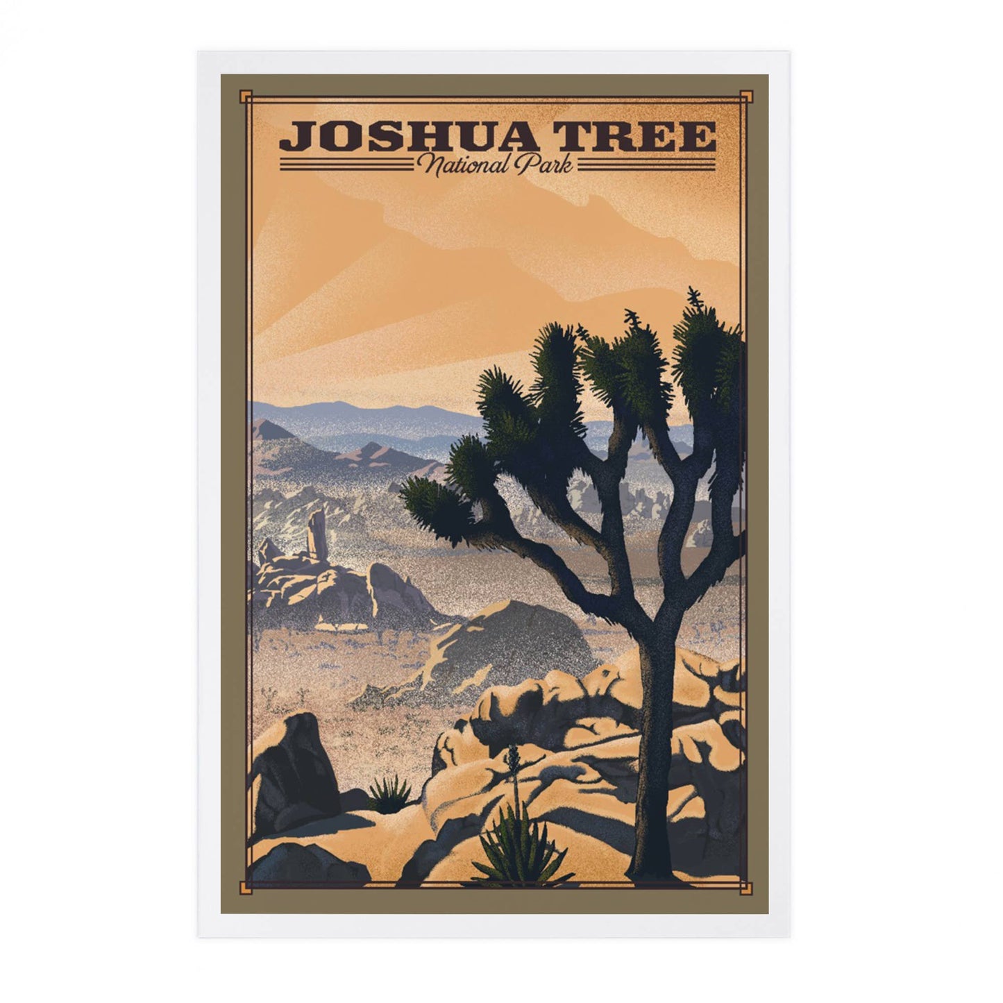 Joshua Tree National Park Lithograph Postcard