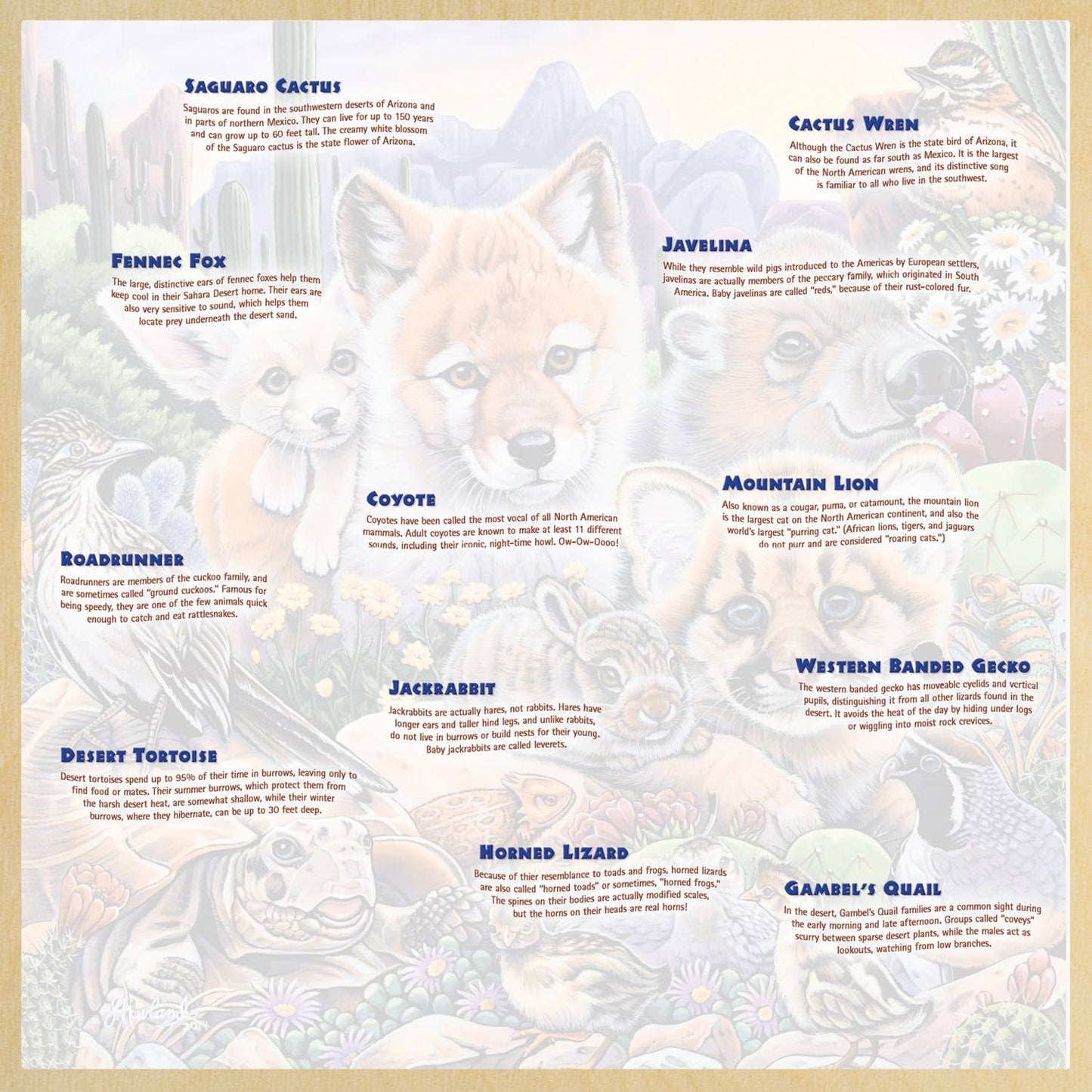 Wood Fun Facts Desert Friends 48 Piece Wood Puzzle