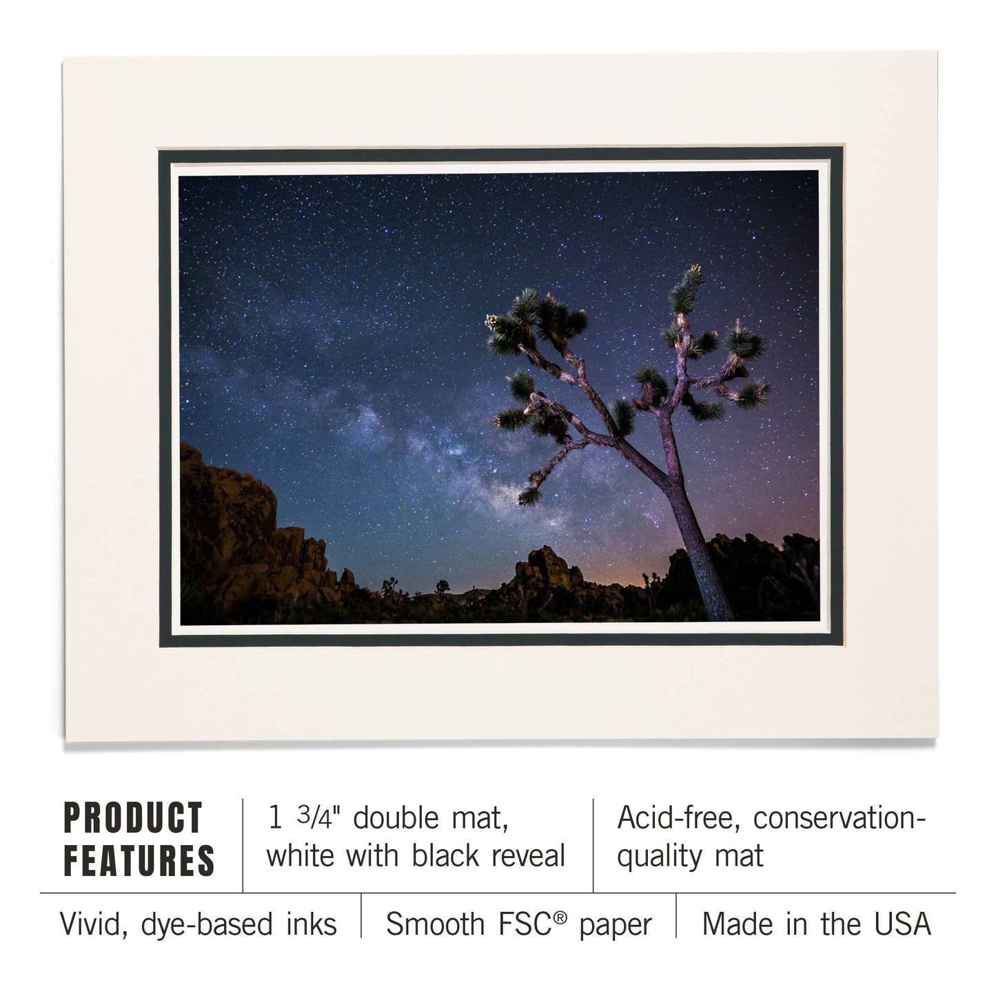 Joshua Tree Milky Way Matted Print