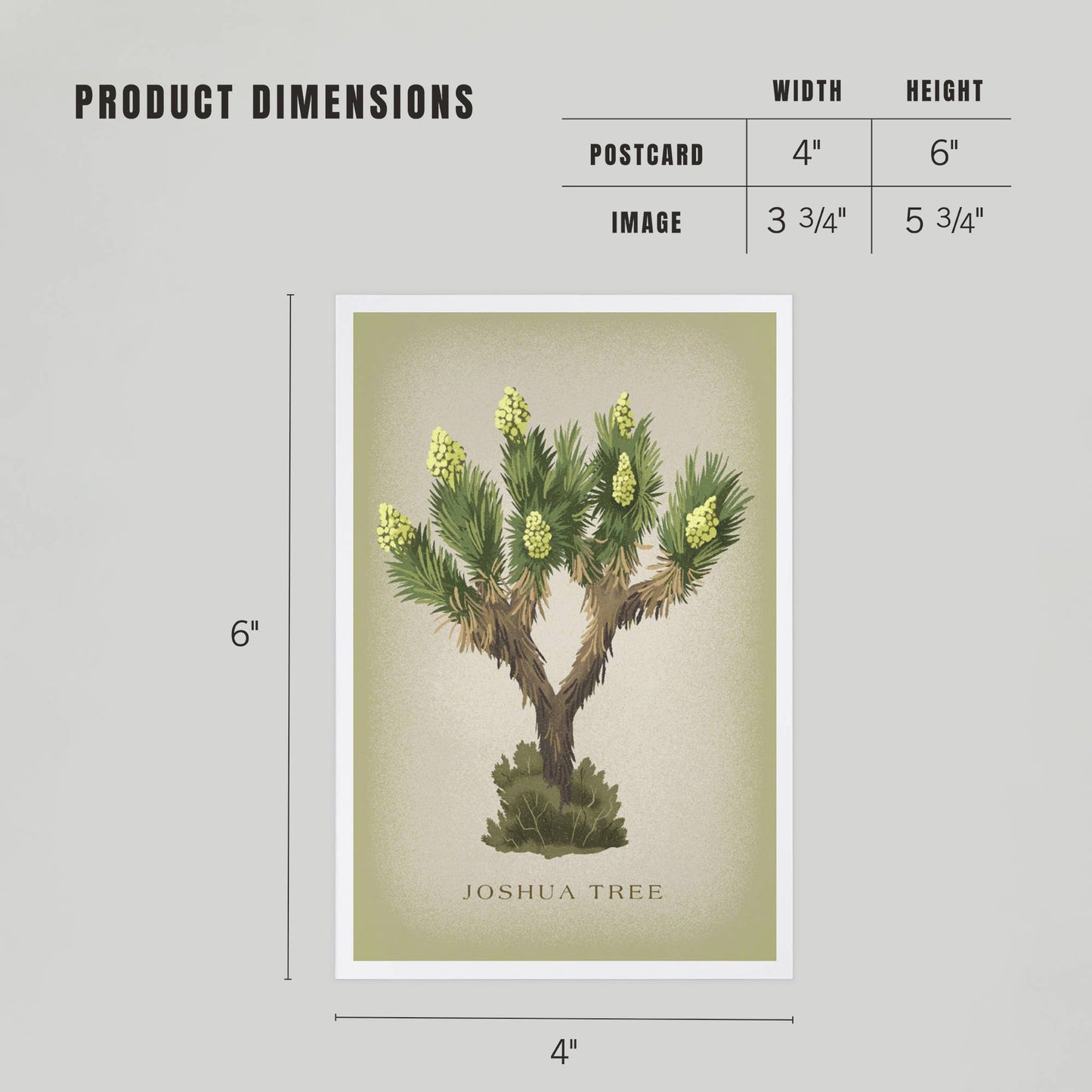 Blooming Joshua Tree Vintage Flora Postcard