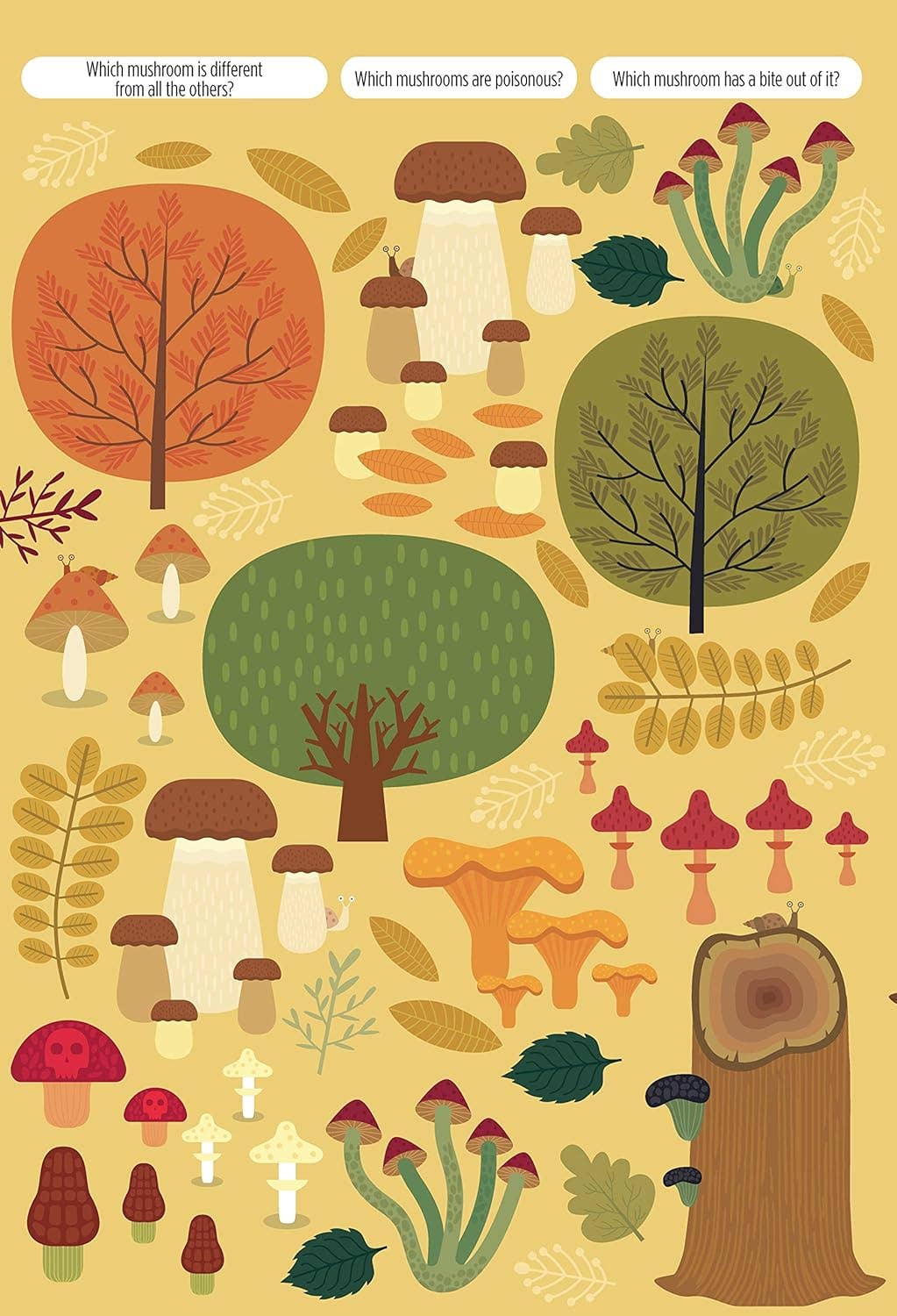 Find Me! Adventures in the Forest