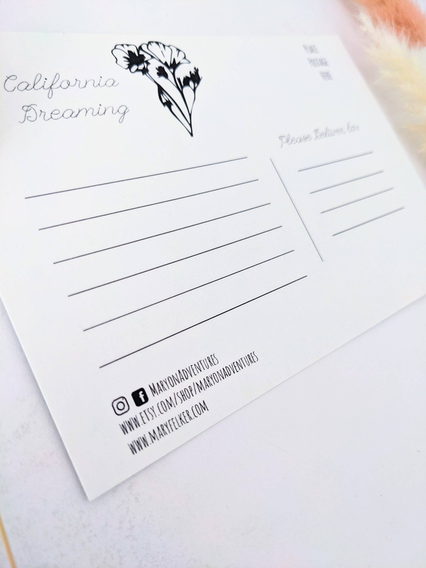 California Souvenir Postcard