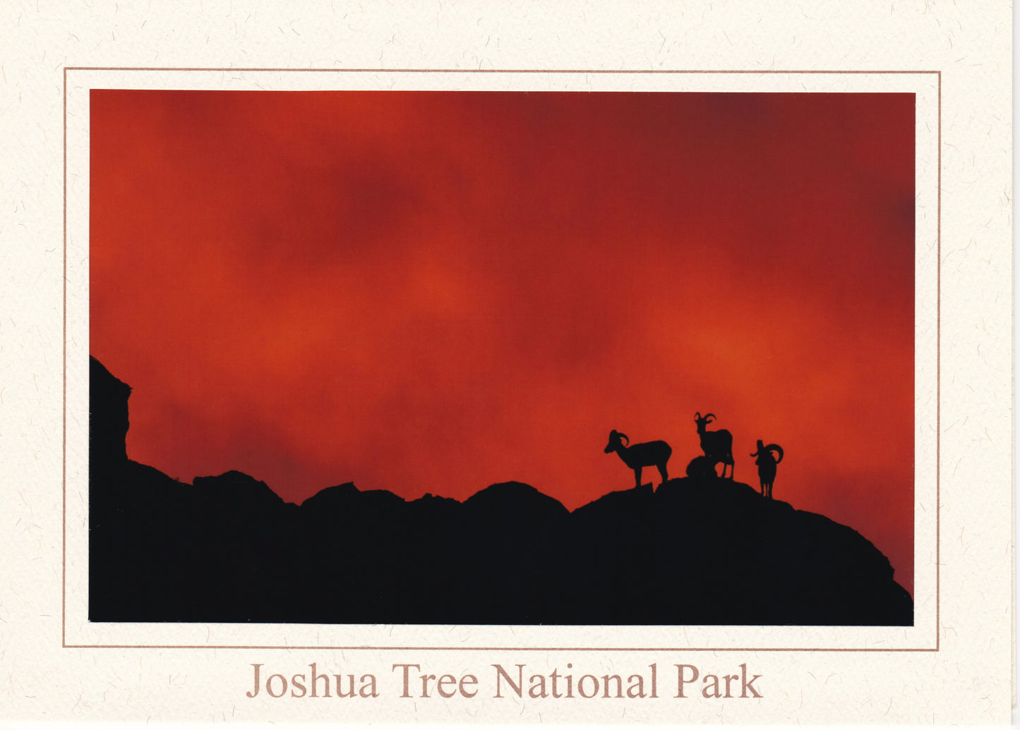 Kevin Powell Notecards