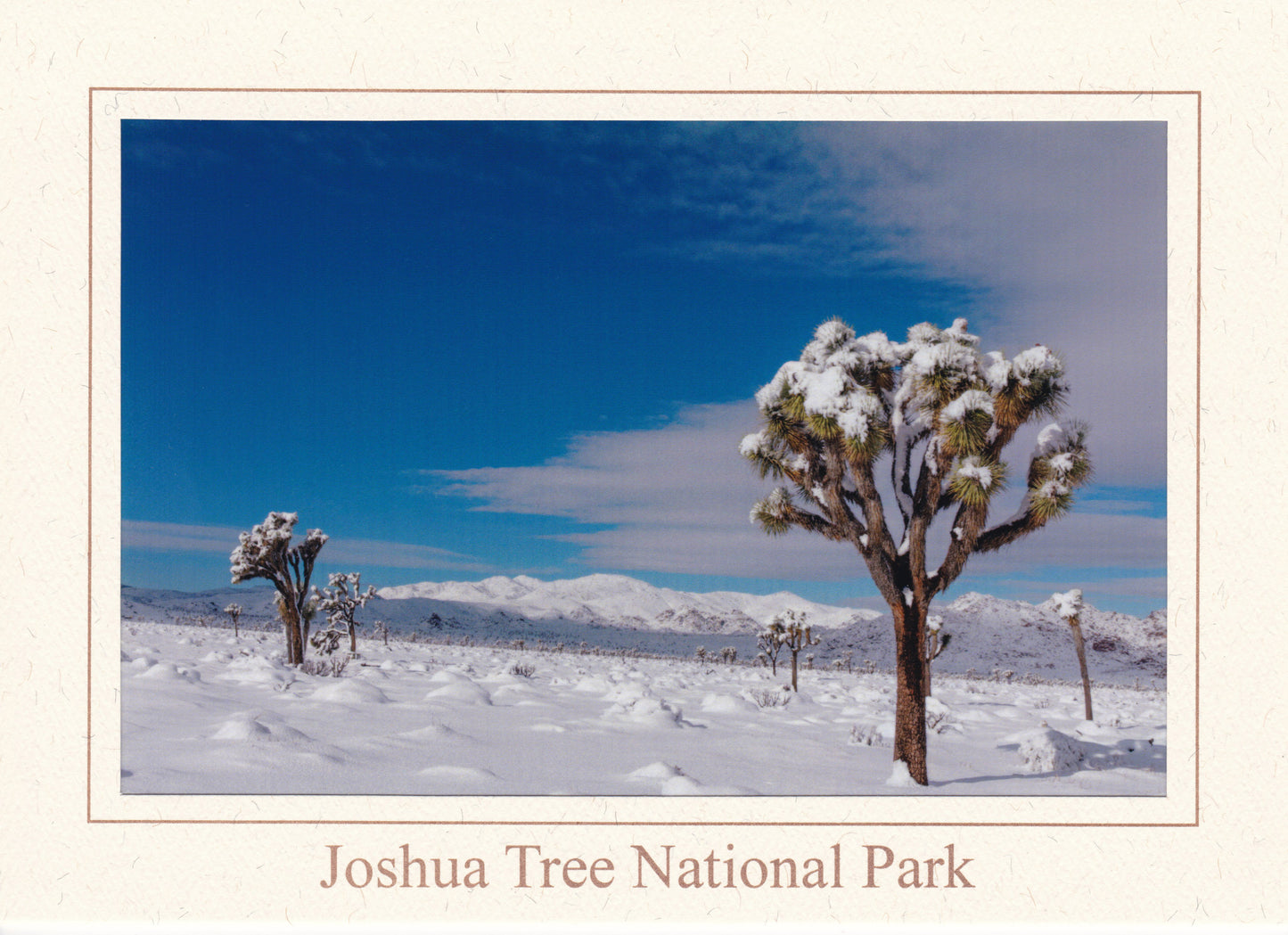 Kevin Powell Notecards