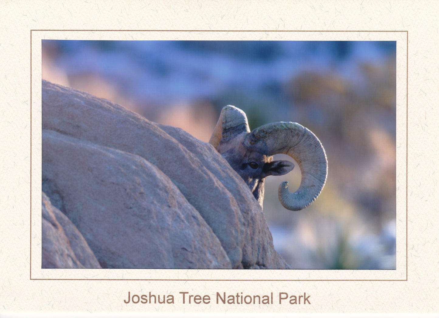 Kevin Powell Notecards