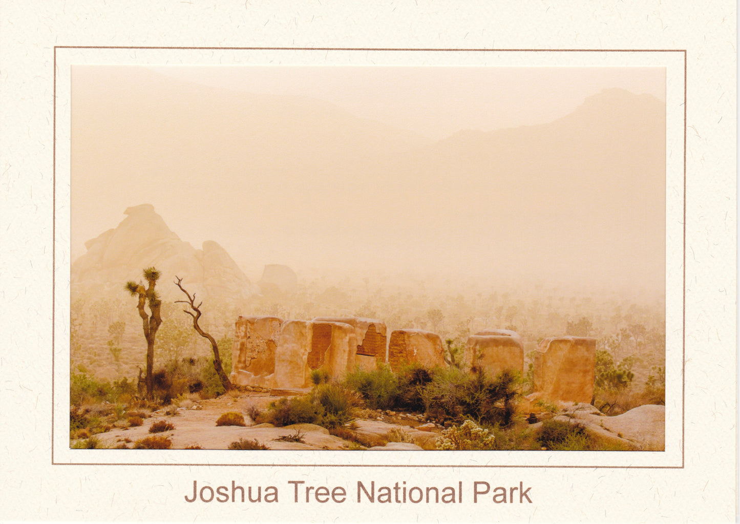 Kevin Powell Notecards