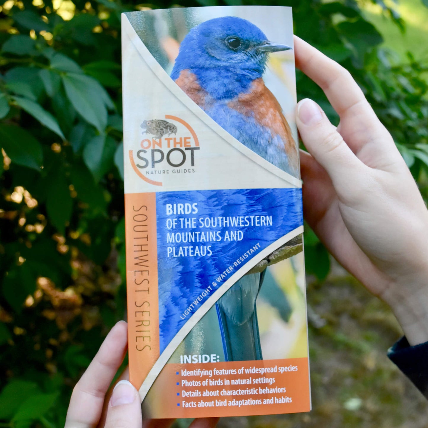 On the Spot Nature Guides