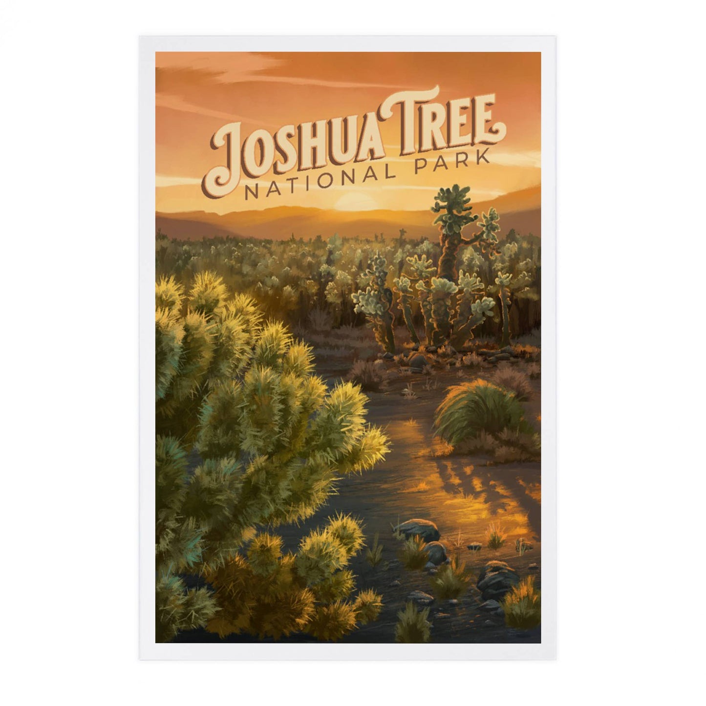 Joshua Tree National Park Cholla Postcard