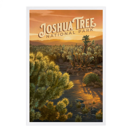 Joshua Tree National Park Cholla Postcard
