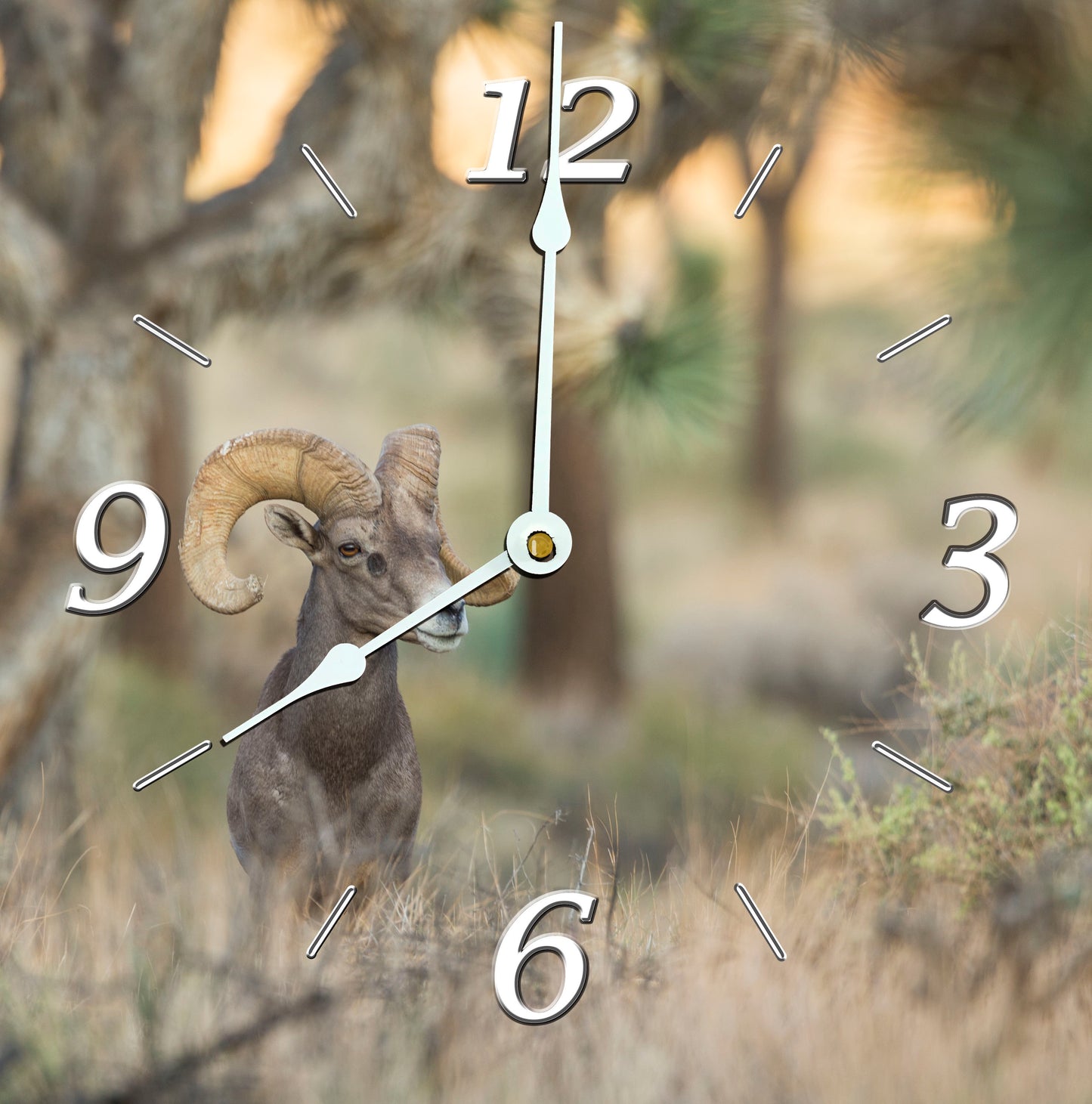 Kevin Powell Clocks
