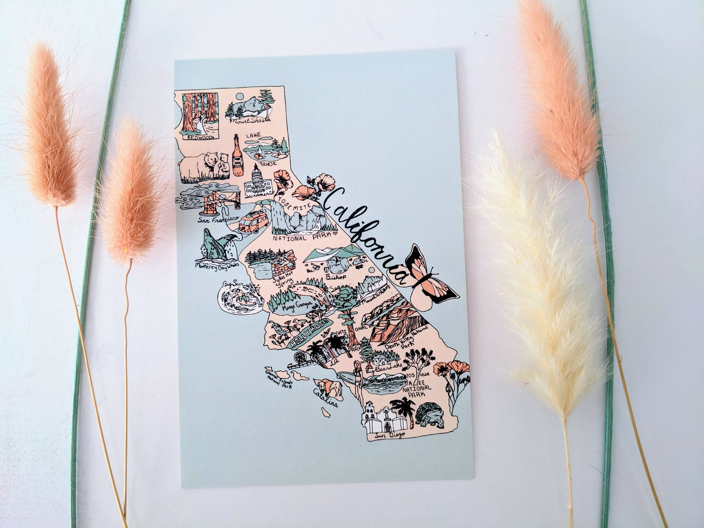 California Souvenir Postcard