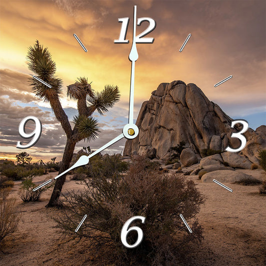 Joshua Tree Rock Pillar Clock