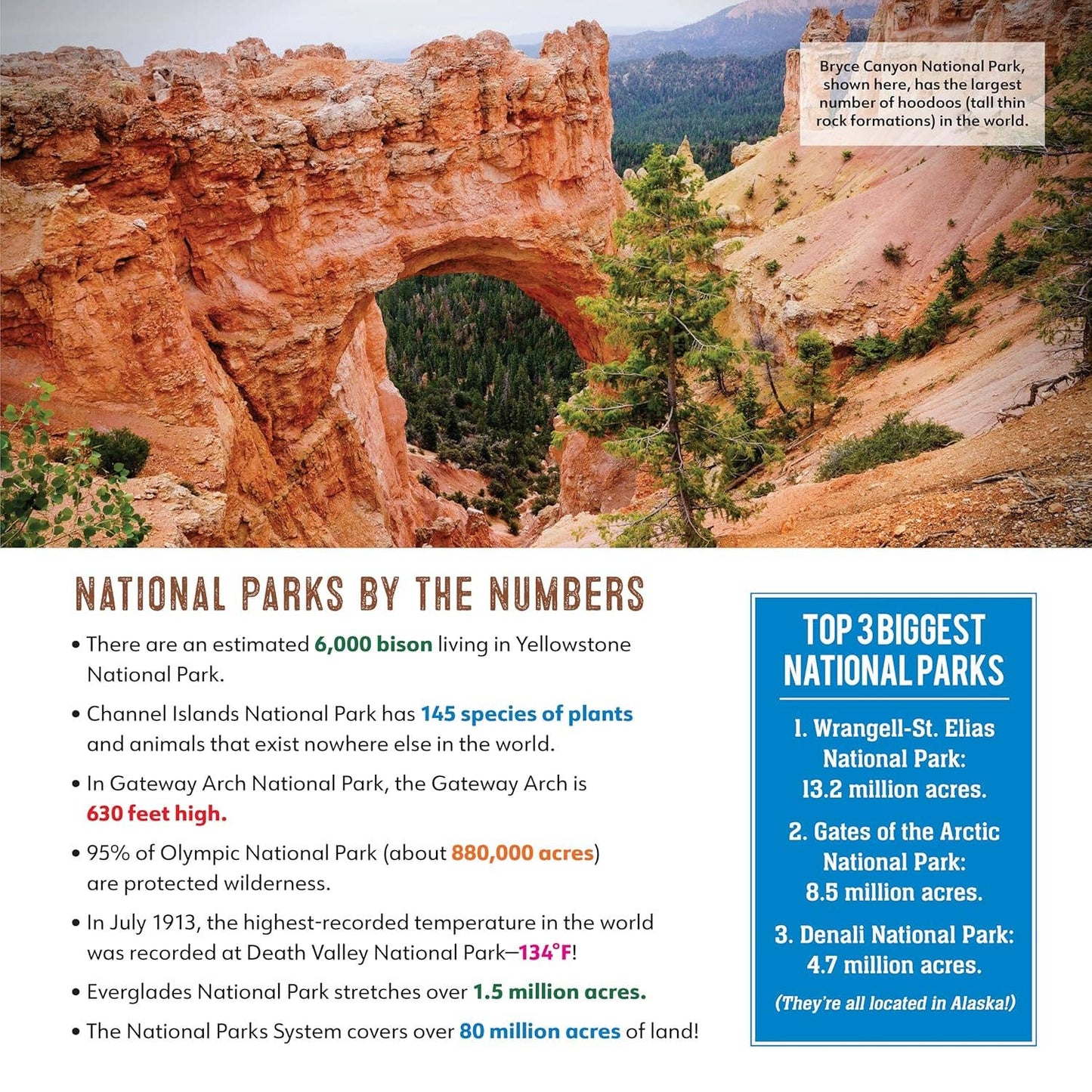 Ultimate National Parks Coloring Book