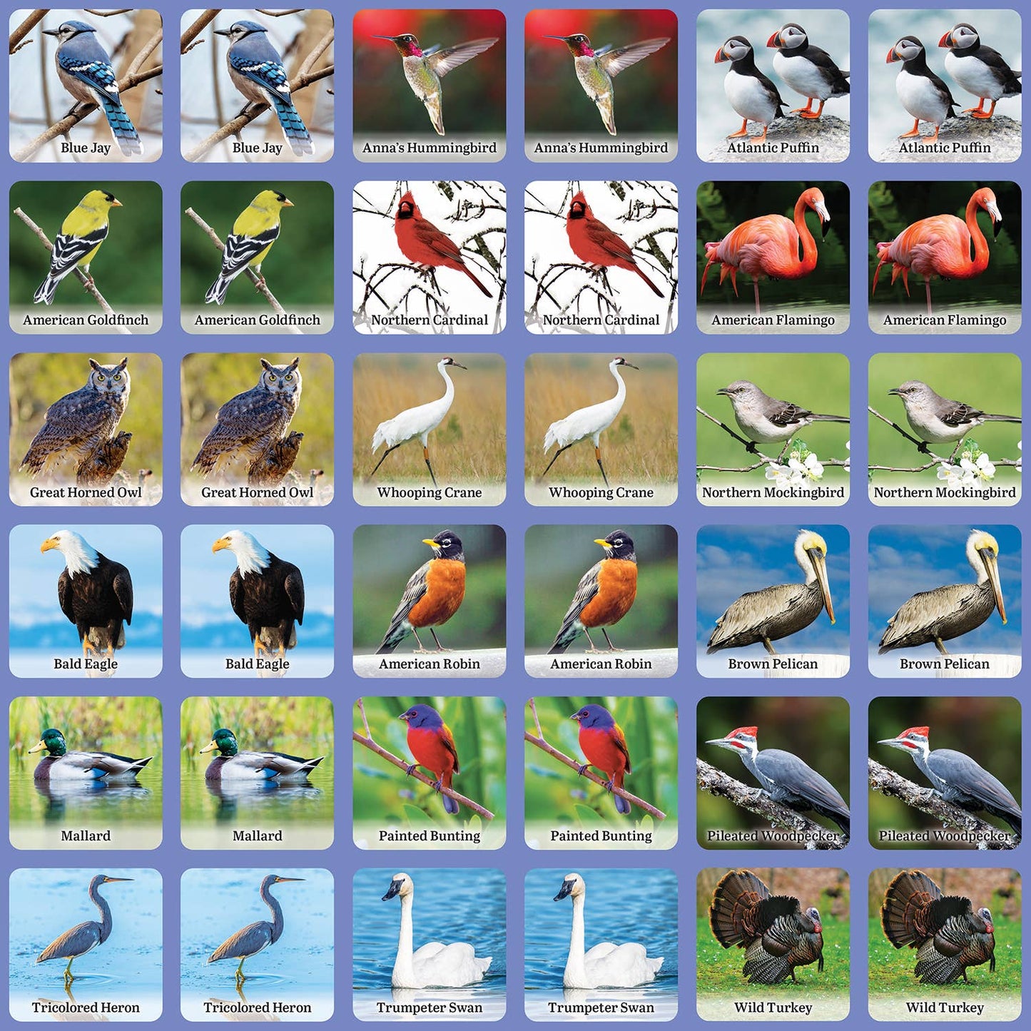 Audubon Bird Matching Game