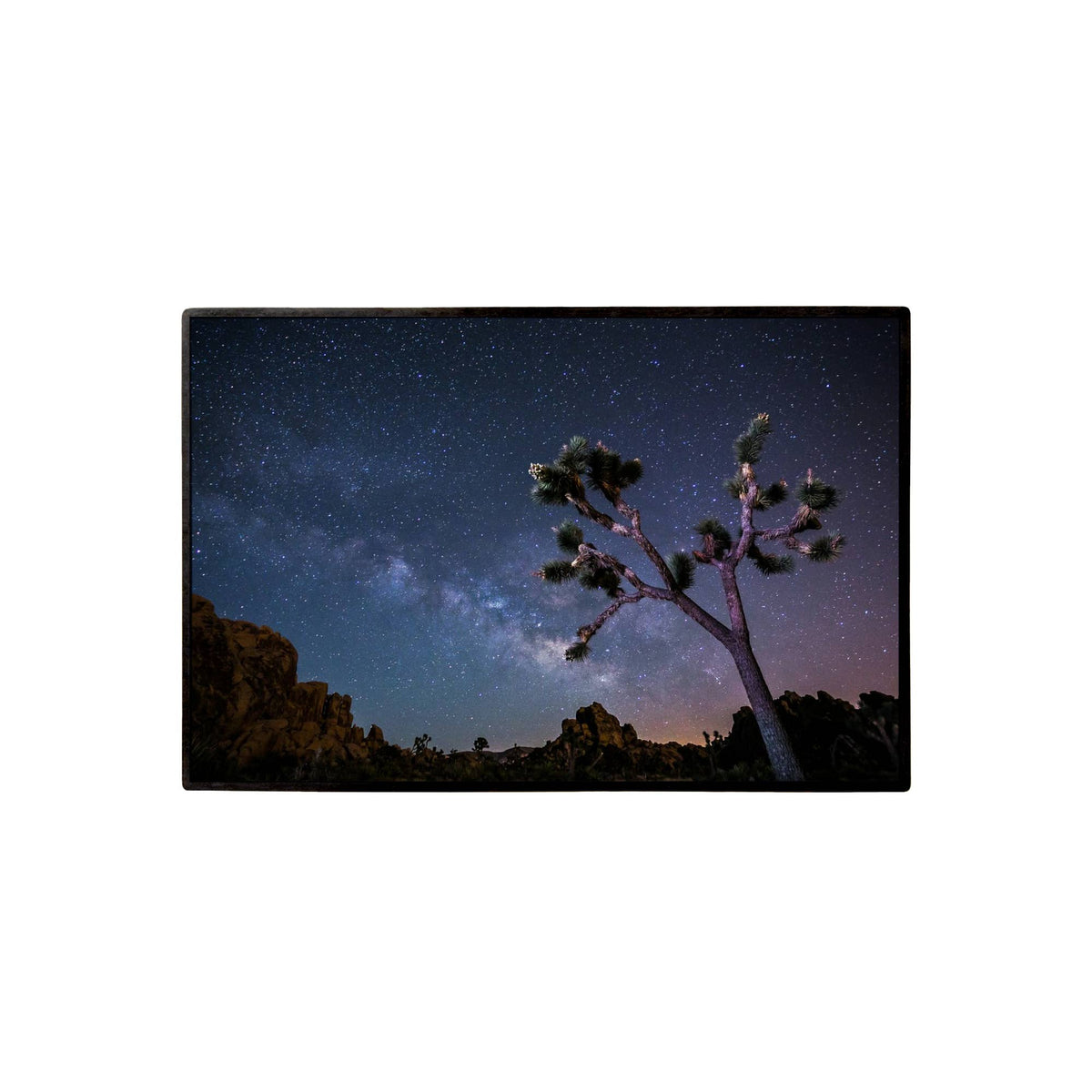 Joshua Tree Milky Way Lapel Pin