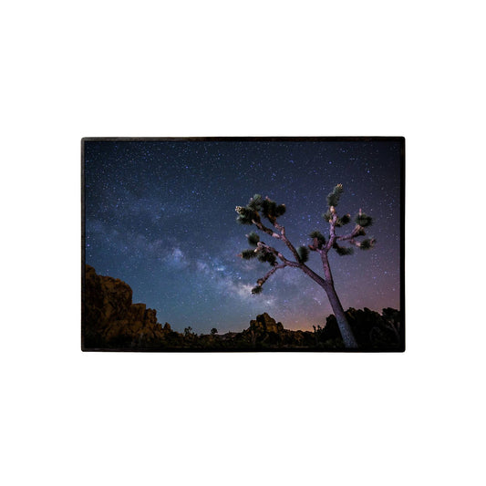 Joshua Tree Milky Way Lapel Pin