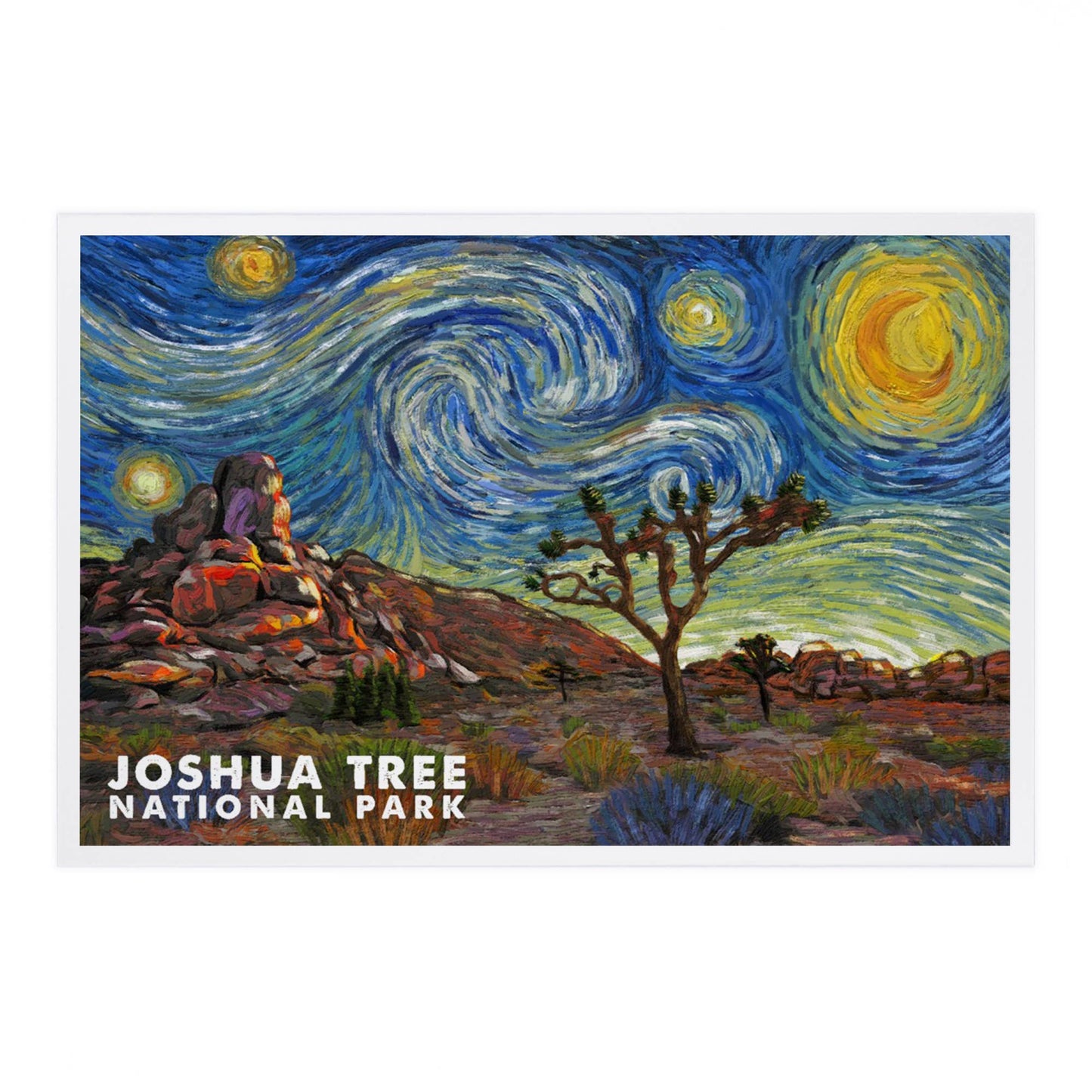 Joshua Tree National Park Starry Night Postcard