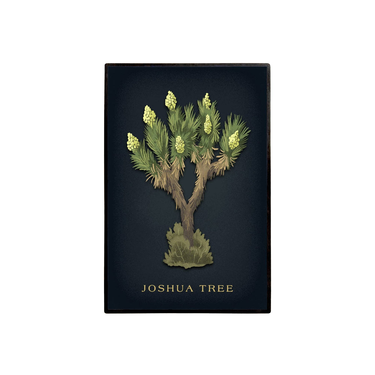 Joshua Tree Vintage Flora Lapel Pin Black
