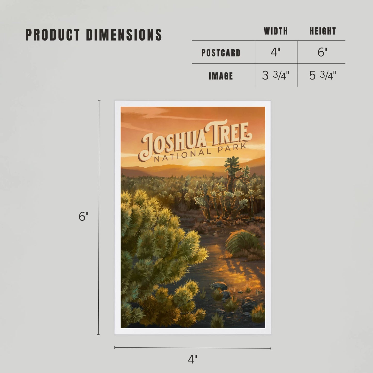 Joshua Tree National Park Cholla Postcard