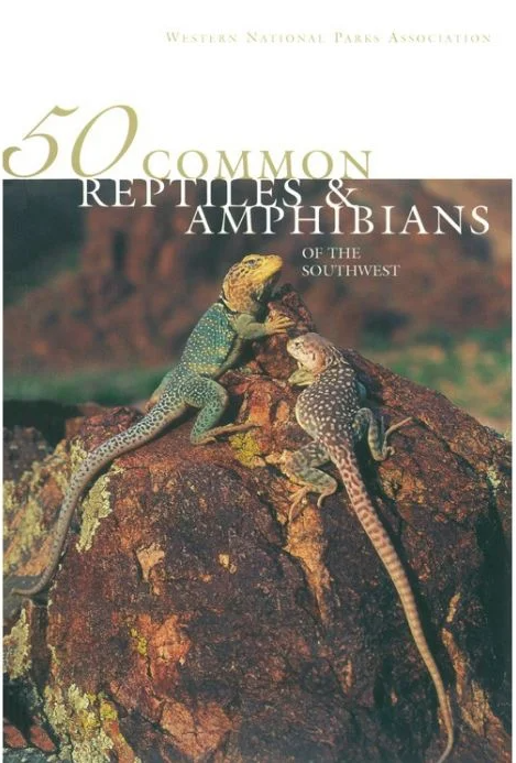 50 Common Reptiles & Amphibians