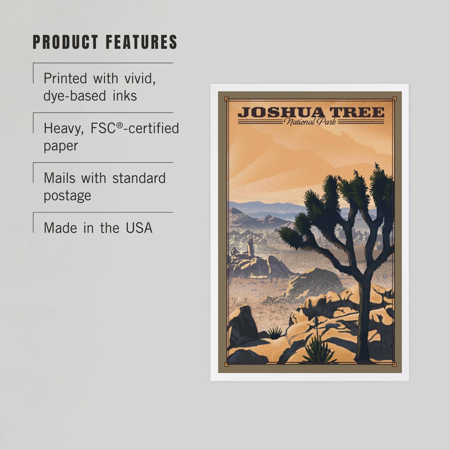 Joshua Tree National Park Lithograph Postcard
