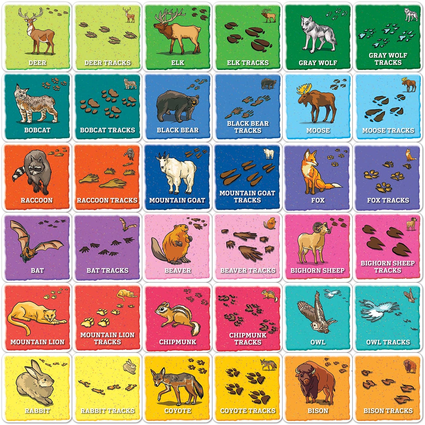 Jr Ranger Animal Tracks Matching Game