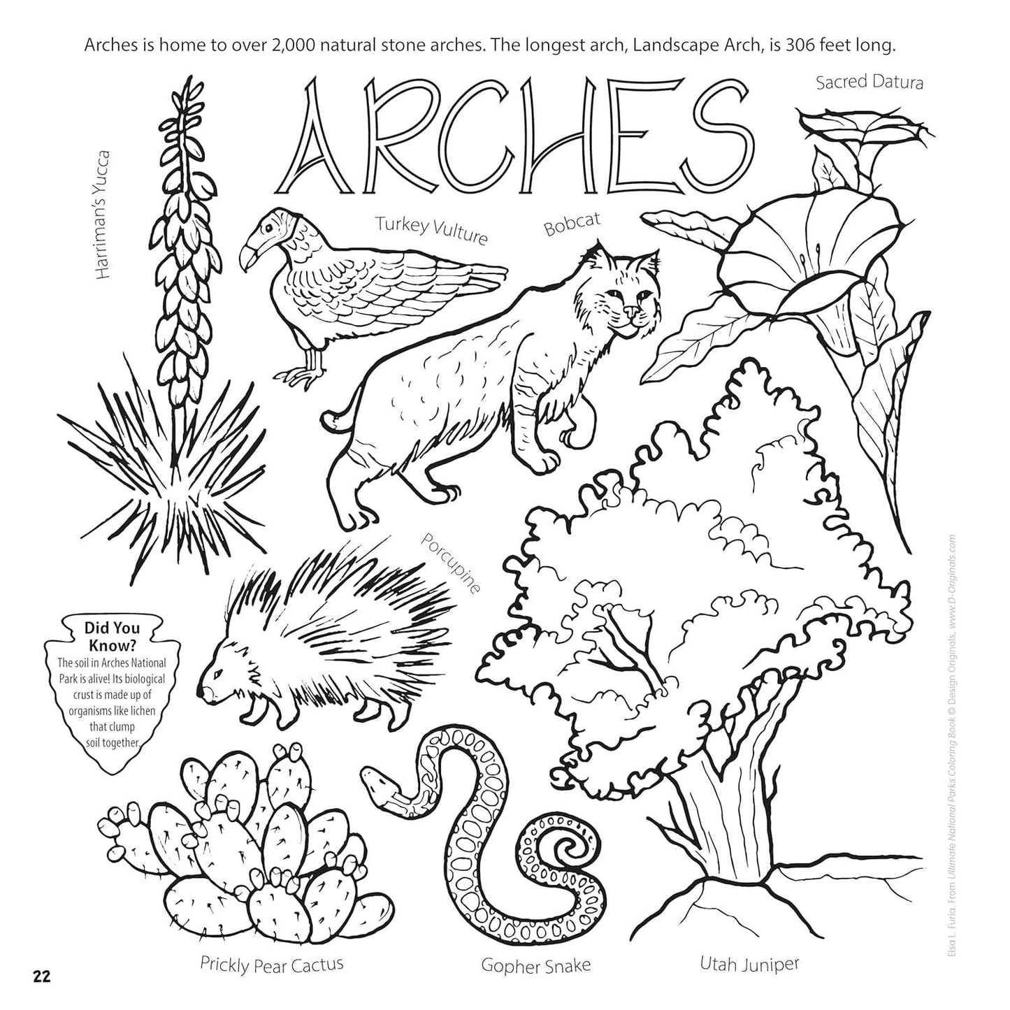 Ultimate National Parks Coloring Book