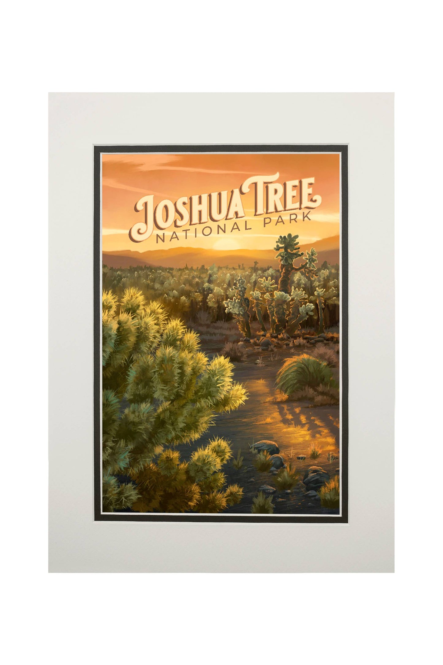 Joshua Tree National Park Cholla Matted Print