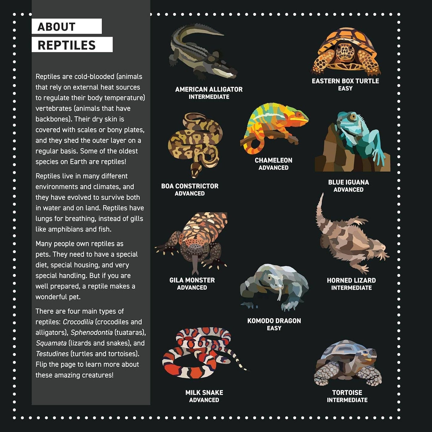 My Sticker Paintings: Reptiles