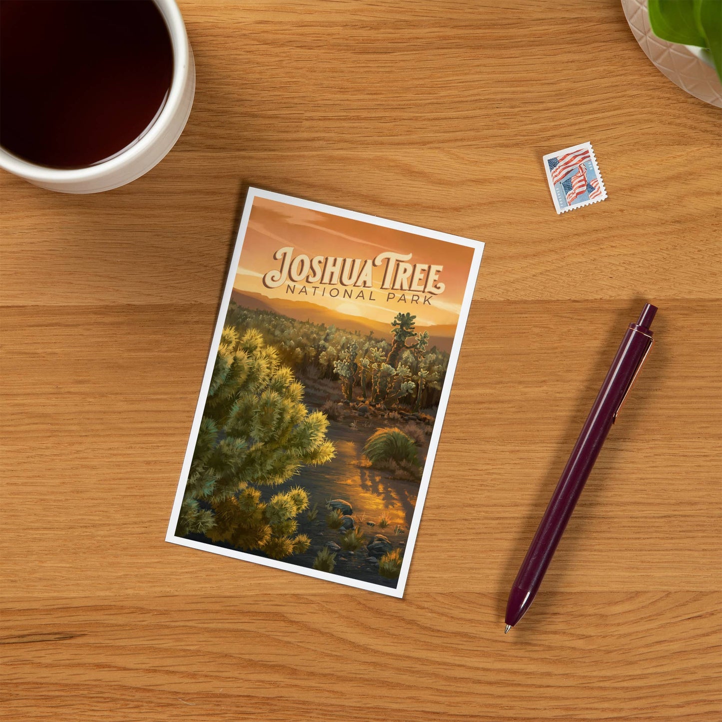 Joshua Tree National Park Cholla Postcard