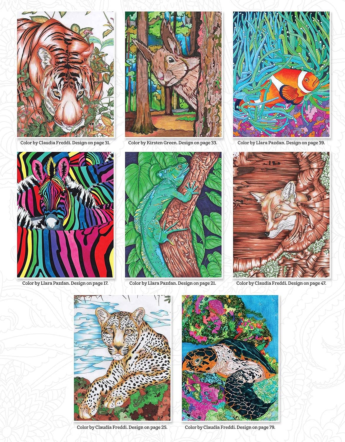 Hidden Animals Coloring Book